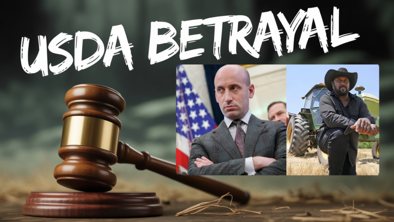 Broken Trust: USDA Relief for Black Farmers Derailed by Stephen Miller's Lawsuit