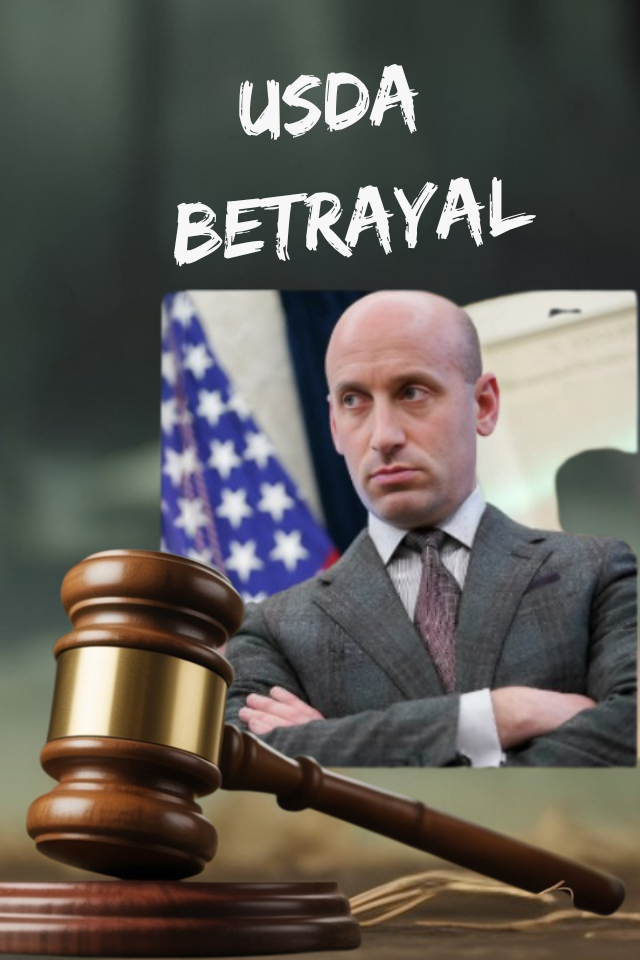 Broken Trust: USDA Relief for Black Farmers Derailed by Stephen Miller's Lawsuit